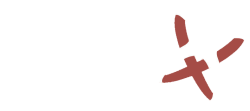 logo conexão saúde